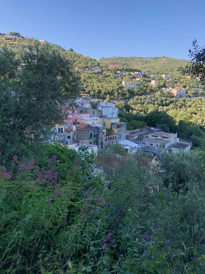 Petit Maison Jeranto Nerano Esterno foto